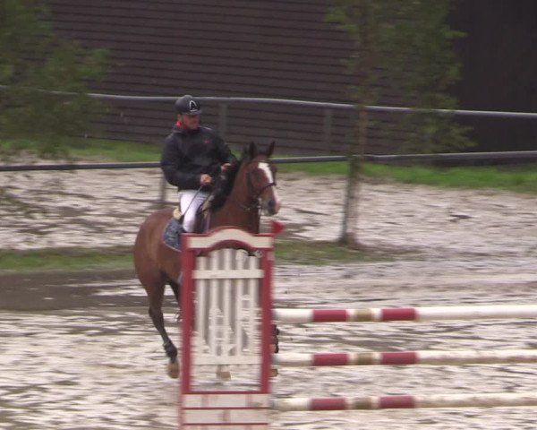 Reitturnier Neunkirchen-Salchendorf 2017