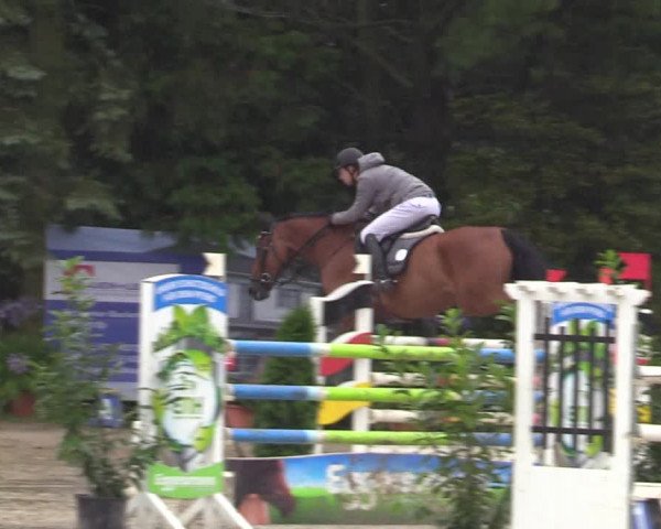 Reitturnier Waltrop 2017