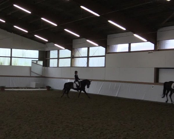 Reitturnier Waltrop 2017