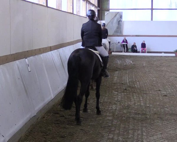 Reitturnier Waltrop 2017