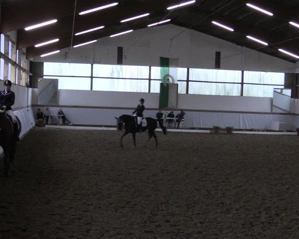 Reitturnier Waltrop 2017