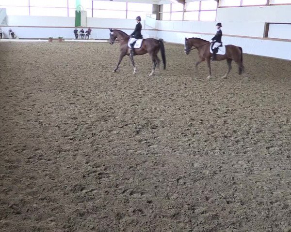 Reitturnier Waltrop 2017