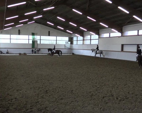 Reitturnier Waltrop 2017