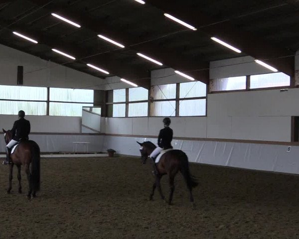 Reitturnier Waltrop 2017