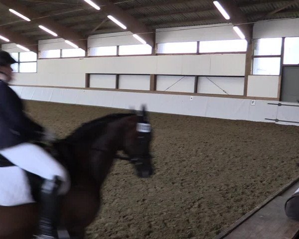 Reitturnier Waltrop 2017