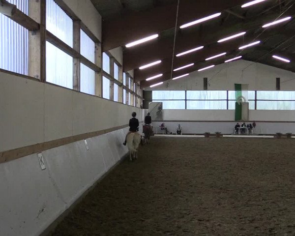 Reitturnier Waltrop 2017