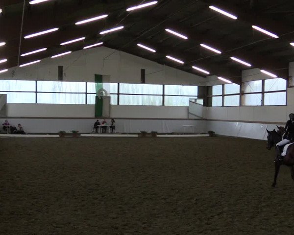 Reitturnier Waltrop 2017