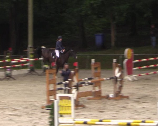 Reitturnier Neunkirchen-Salchendorf 2017