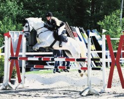 jumper Carlsson A (Westphalian, 2009, from Contini)