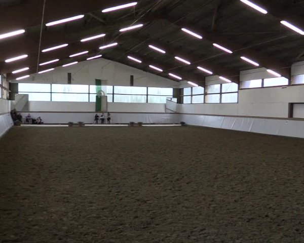 Reitturnier Waltrop 2017
