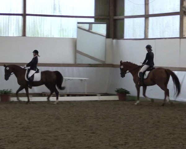Reitturnier Waltrop 2017