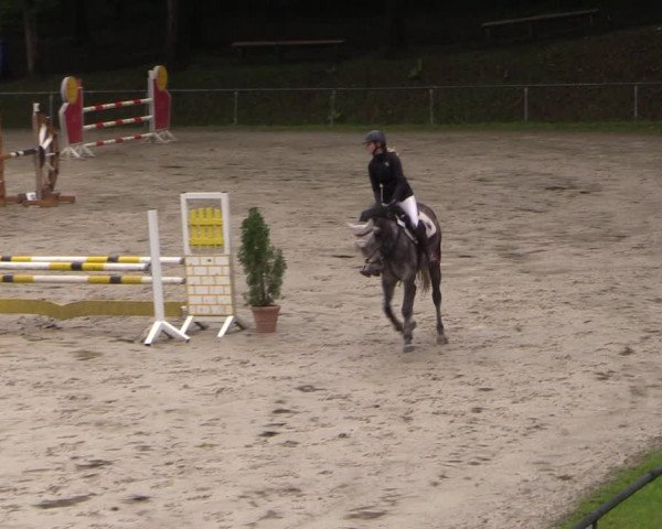 Reitturnier Neunkirchen-Salchendorf 2017