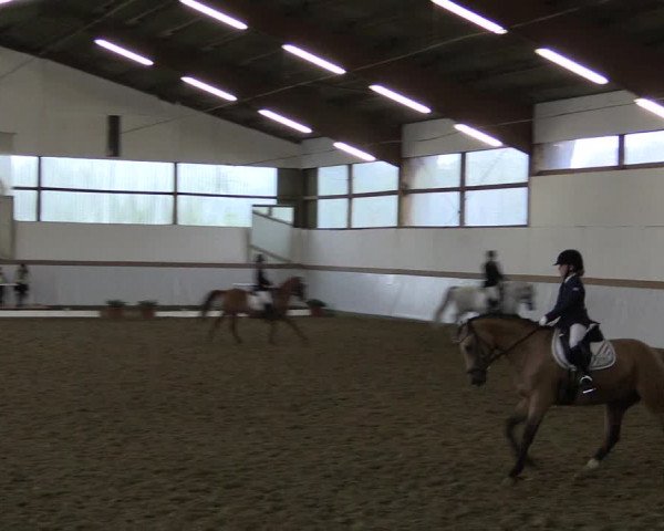 Reitturnier Waltrop 2017