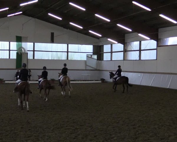 Reitturnier Waltrop 2017