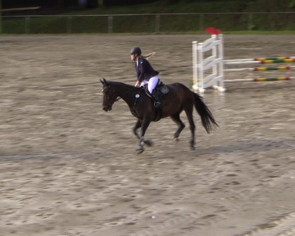 Reitturnier Neunkirchen-Salchendorf 2017