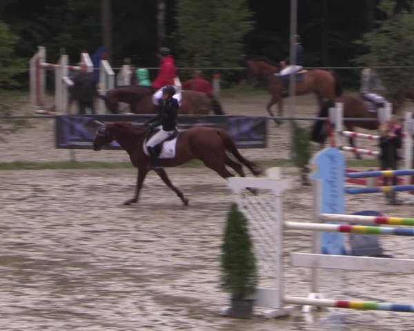 Reitturnier Neunkirchen-Salchendorf 2017