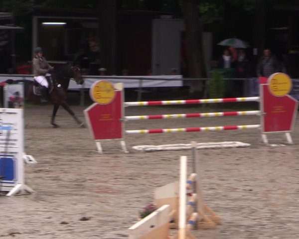 Reitturnier Neunkirchen-Salchendorf 2017