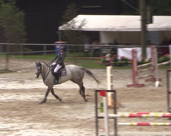 Reitturnier Neunkirchen-Salchendorf 2017