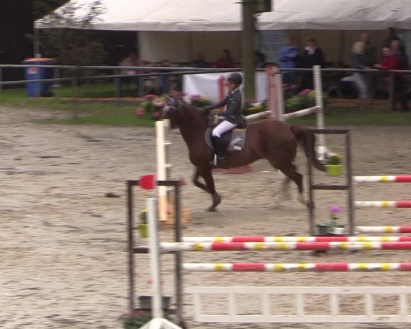 Reitturnier Neunkirchen-Salchendorf 2017
