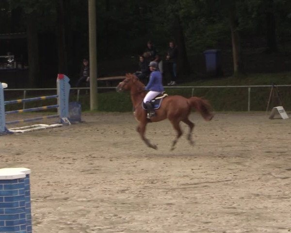Reitturnier Neunkirchen-Salchendorf 2017