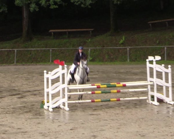 Reitturnier Neunkirchen-Salchendorf 2017