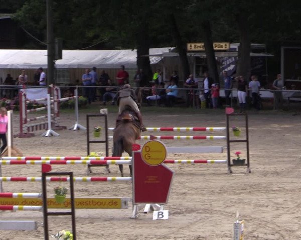 Reitturnier Neunkirchen-Salchendorf 2017