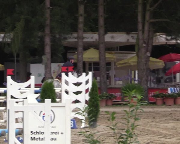 Reitturnier Waltrop 2017