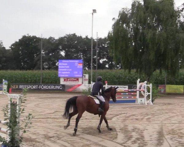 Reitturnier Waltrop 2017