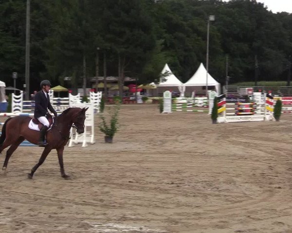 Reitturnier Waltrop 2017