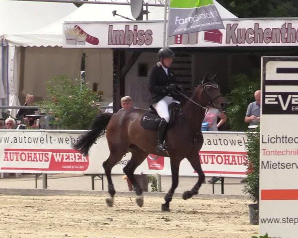Reitturnier Olfen-Vinnum 2017
