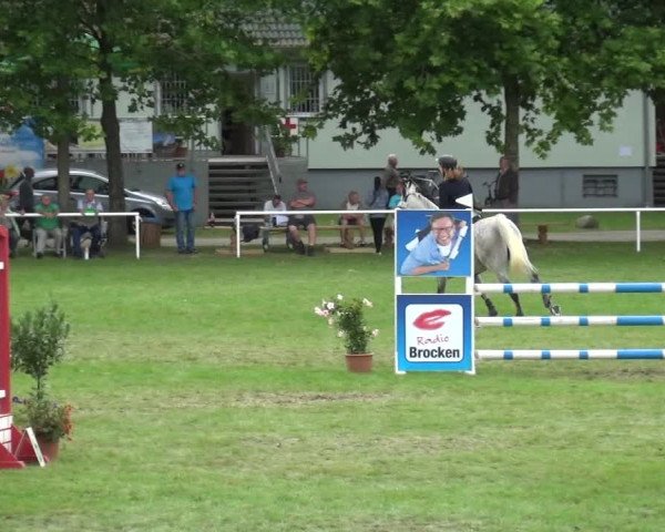 Reitturnier Zobbenitz 2017