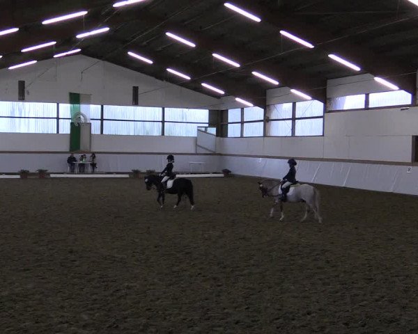 Reitturnier Waltrop 2017