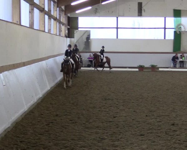 Reitturnier Waltrop 2017