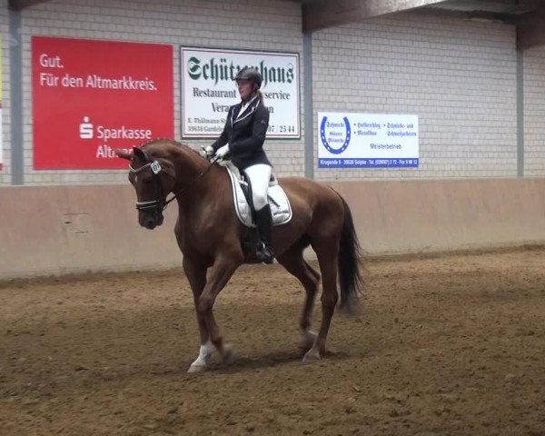 Reitturnier Gardelegen 2017