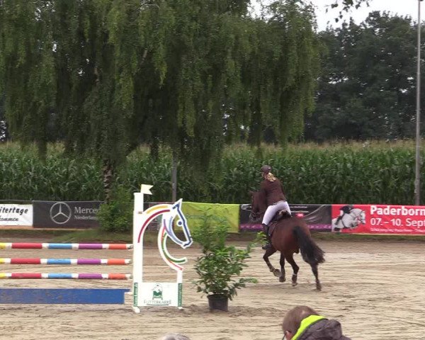 Reitturnier Waltrop 2017