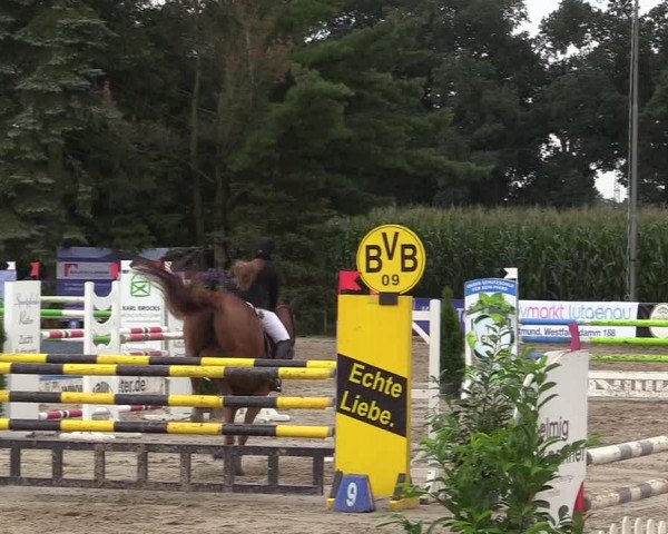 Reitturnier Waltrop 2017