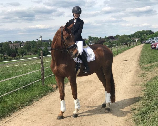 dressage horse Roxy (Rhinelander, 2009, from Royal Angel)