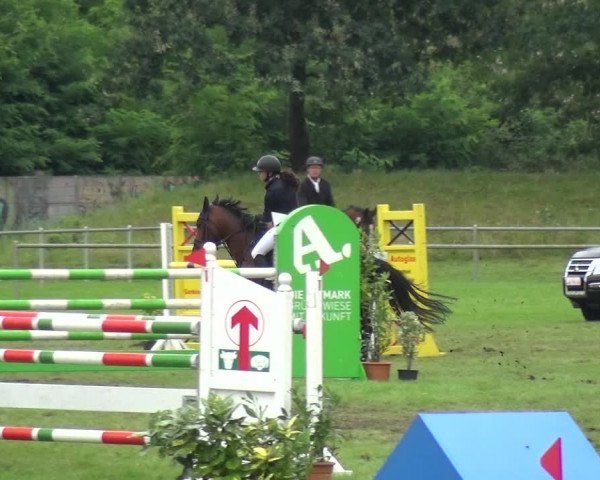 Reitturnier Gardelegen 2017