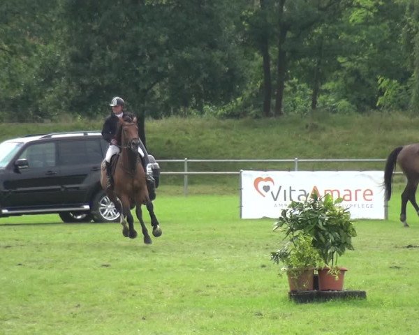 Reitturnier Gardelegen 2017