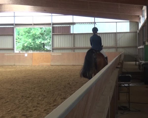 Reitturnier Gardelegen 2017
