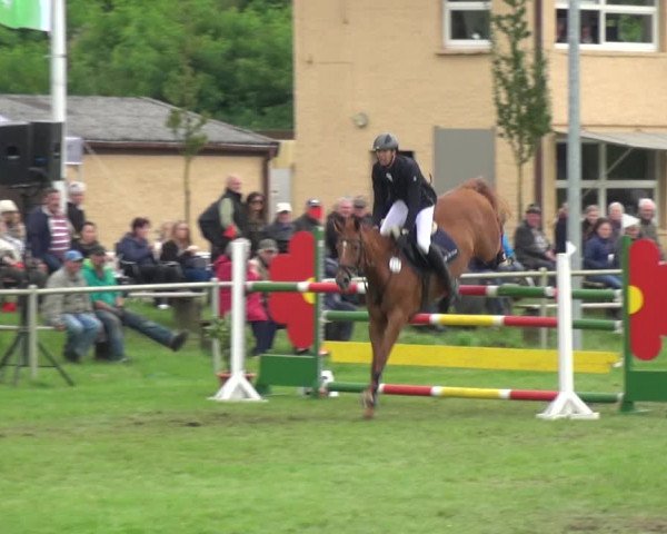 Reitturnier Gardelegen 2017