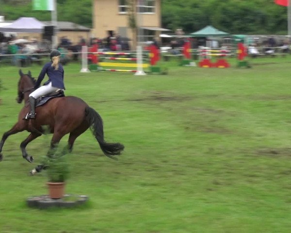 Reitturnier Gardelegen 2017