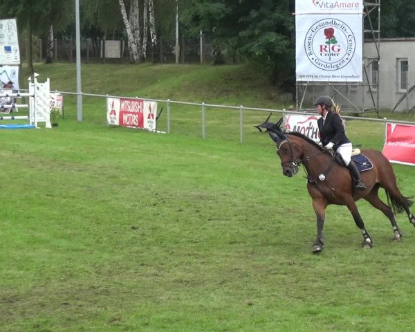 Reitturnier Gardelegen 2017