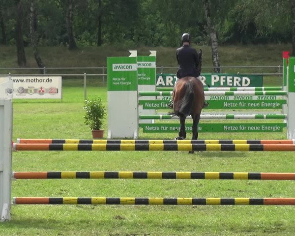 Reitturnier Gardelegen 2017