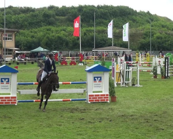 Reitturnier Gardelegen 2017