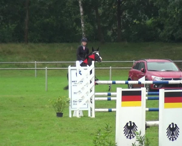 Reitturnier Gardelegen 2017