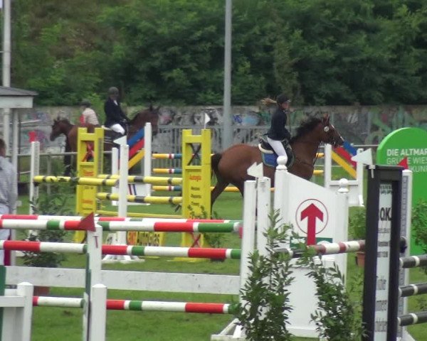 Reitturnier Gardelegen 2017