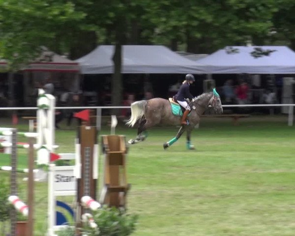 Reitturnier Zobbenitz 2017