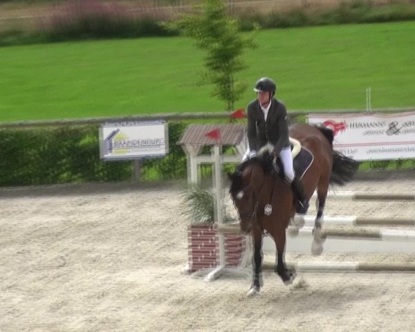 Reitturnier Monschau-Mützenich 2017