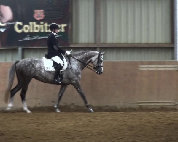 Reitturnier Gardelegen 2017